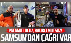 Palamut ucuz, balıkçı mutsuz! Samsun’da kota çağrısı