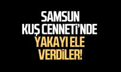 Samsun’da gökdoğan avına suçüstü! Dronla yakalandılar