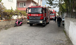 Samsun’da ev alevlere teslim oldu! Yavru kediyi itfaiye kurtardı