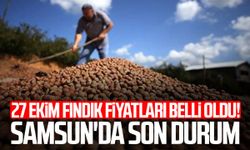 27 Ekim fındık fiyatları belli oldu! Samsun'da son durum
