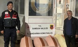 Samsun’da fındık oyunu jandarmaya takıldı!