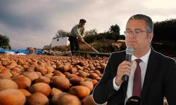 Samsun’da fındık üreticisine 1 milyon TL’lik destek