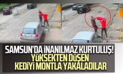 Samsun’da inanılmaz kurtuluş! Yüksekten düşen kediyi montla yakaladılar