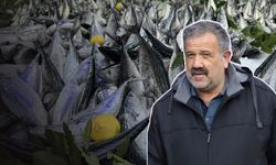Samsun’da palamut için “ara” değil “kota” talebi
