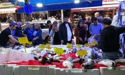 Samsun'da palamut fiyatı çakıldı! Kapış kapış gidiyor