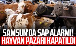 Samsun'da şap alarmı! Hayvan pazarı kapatıldı