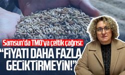 Samsun'da TMO’ya çeltik çağrısı: "Fiyatı daha fazla geciktirmeyin!"