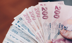 Vatandaşlık maaşında yeni detaylar belli oldu!