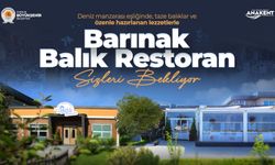 Barınak Balık Restoran sizleri bekliyor