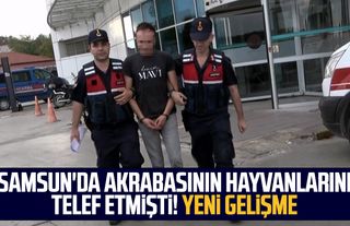 Samsun'da akrabasının hayvanlarını telef etmişti! Yeni gelişme