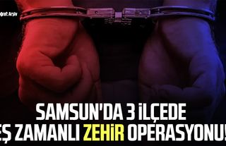 Samsun'da 3 ilçede eş zamanlı zehir operasyonu!