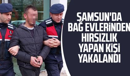 Samsun'da bağ evlerinden hırsızlık yapan kişi yakalandı