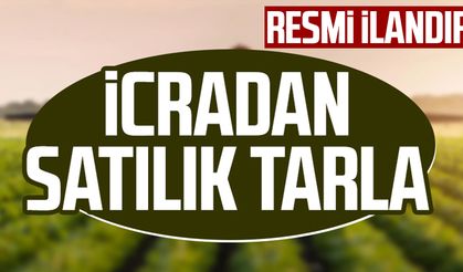 Samsun Çarşamba'da 5.100 m² tarla ve yapının (3/20 hissesi) icradan satılıktır
