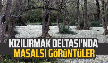 Kızılırmak Deltası'nda masalsı görüntüler