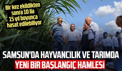 Samsun'da hayvancılık ve tarımda yeni bir başlangıç hamlesi