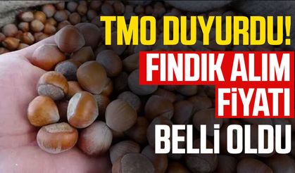 TMO, 2026-2027 dönemi fındık alım fiyatlarını açıkladı