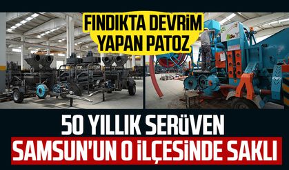 Samsun'un o ilçesinde fındıkta devrim yapan patozun serüveni saklı