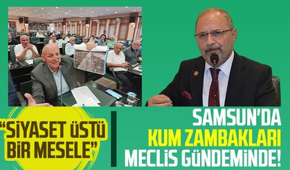 Samsun'da kum zambakları meclis gündeminde: Siyaset üstü bir mesele