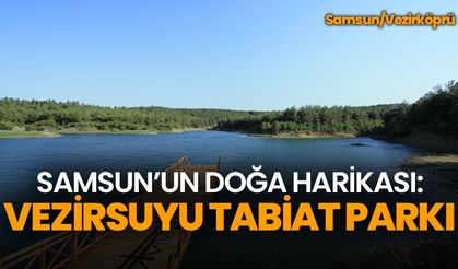 Samsun’un Doğa Harikası: Vezirsuyu Tabiat Parkı | Video