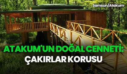 Atakum'un doğal cenneti: Çakırlar Korusu | Video