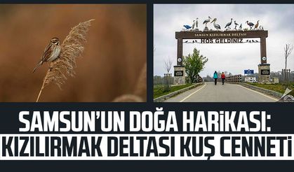 Samsun'un doğa harikası: Kızılırmak Deltası Kuş Cenneti