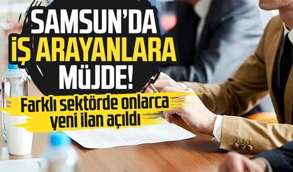 İŞKUR Samsun iş ilanları: 501 yeni iş ilanı açıldı