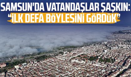 Samsun'da vatandaşlar şaşkın: "İlk defa böylesini gördük"