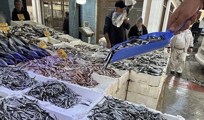 19 Mayıs’ta Tarım ve Balıkçılığın Günlük Hayata Etkisi