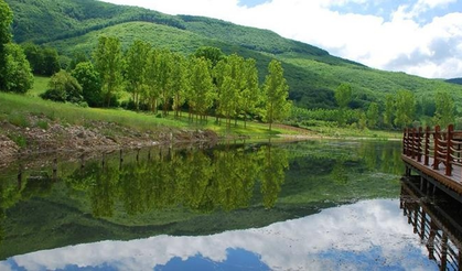 Samsun’un Tarihi İlçeleri: Vezirköprü, Ladik, Tekkeköy ve Bafra’nın Mirası