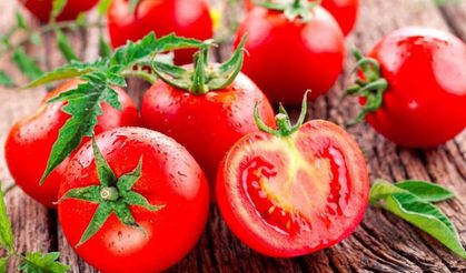 Bafra Ovası’nda Üretilen Sebzeler ve Samsun Mutfağındaki Önemi