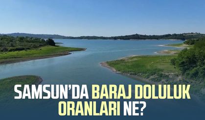 Samsun'da baraj doluluk oranları