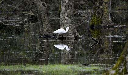 19 Mayıs’ta Kızılırmak Kıyısında Doğa ve Sessizlik