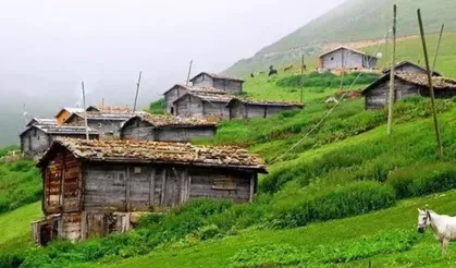Asarcık’ta Yayla Keşfi:Yüksek Rotalar ve Doğal Yaşam