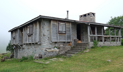 Asarcık Yaylaları’nda Sessiz Tatil ve Doğal Yaşam