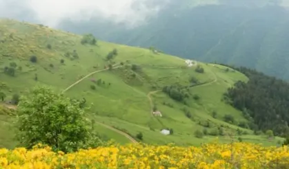 Kavak Yaylaları ve Geleneksel Köy Hayatı