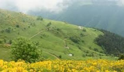 Kavak’ta Gezilecek Yerler: Yaylalar, Orman Yolculukları ve Köy Yaşamı