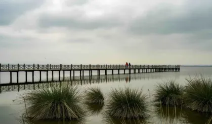 19 Mayıs İlçesi Doğa ve Kültür Rehberi
