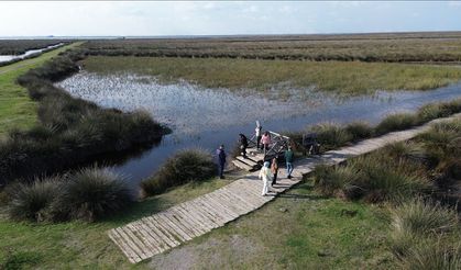 Bafra Kızılırmak Deltası: Türkiye’nin En Sessiz Doğa Cenneti