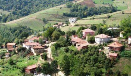 Asarcık’ta yaşam: kırsal hayat, tarım ve kültür
