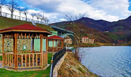 Ayvacık’ta Göl Çevresinde Oluşan Doğal Yaşam Düzeni