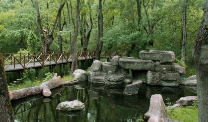 Bafra’da Doğal Güzellikler ve Piknik Alanları