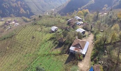 Salıpazarı’nda Geleneksel Köy Yaşamının Sürekliliği