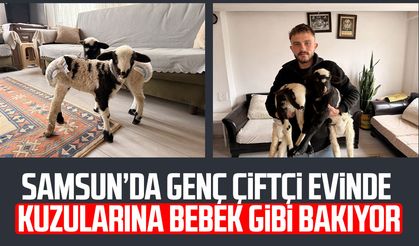 Samsun’da genç çiftçi evinde kuzularına bebek gibi bakıyor