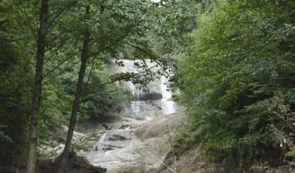 Tekkeköy’de Doğa ve Tarihin Birlikte Oluşturduğu Yaşam