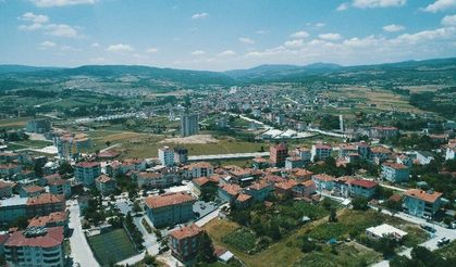 Kavak’ta Mevsim Döngülerinin Etkisi