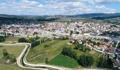 Kavak’ta Mevsimlerin Kurduğu Denge