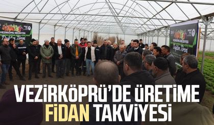 Vezirköprü’de üretime fidan takviyesi