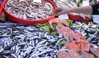 Samsun’un Balıkçılık Geleneği ve Denizden Sofralara Uzanan Lezzetler