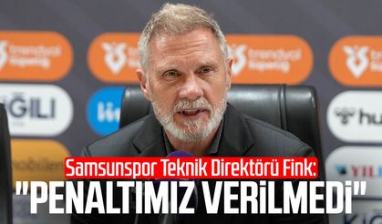 Samsunspor T.D. Thorsten Fink: "Penaltımız verilmedi"