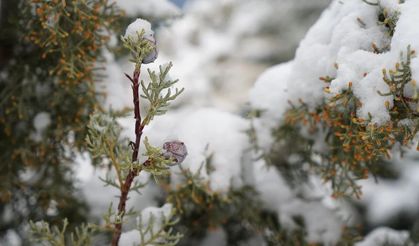 Samsun'da o tarihlerde tehlike büyük! Önemli uyarı